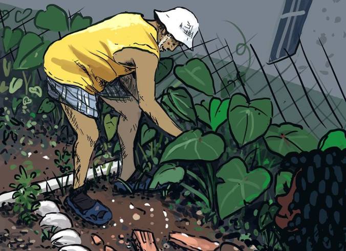 12294675_10156210747790487_3801853358522684327_n